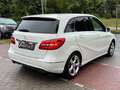 Mercedes-Benz B 180 B180CDI Edition 1*Nav*Temp*Szhz*Leder*AHK*Kamera Wit - thumbnail 5