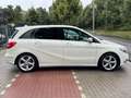 Mercedes-Benz B 180 B180CDI Edition 1*Nav*Temp*Szhz*Leder*AHK*Kamera Wit - thumbnail 4