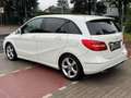 Mercedes-Benz B 180 B180CDI Edition 1*Nav*Temp*Szhz*Leder*AHK*Kamera Wit - thumbnail 8