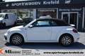Volkswagen Beetle 1,2TSi Sound *NAVI*17" ALU*PDC*KLIMA*SHZG* Weiß - thumbnail 5