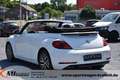 Volkswagen Beetle 1,2TSi Sound *NAVI*17" ALU*PDC*KLIMA*SHZG* Weiß - thumbnail 3