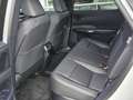 Lexus RX 450h 450h+ F SPORT Design*Panorama-Glasdach* Bianco - thumbnail 13