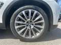 BMW X3 xDrive20d Luxury Bronzo - thumbnail 24