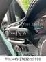 Ford Fiesta Trend 1.HAND|SPURHALTASS.|CARPLAY|TÜV NEU Grün - thumbnail 19