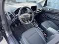 Ford EcoSport 1.0 EcoBoost Titanium *TOP ZUSTAND* Grau - thumbnail 11