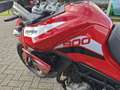 Triumph Tiger 900 GT Pro Rood - thumbnail 8