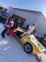 Ford GT 40 Oro - thumbnail 19