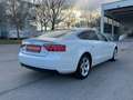 Audi A5 SB 2,0 TDI Daylight / NAVI / SHZ / Weiß - thumbnail 6