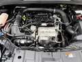 Ford Focus 1.0 Ecoboost Auto-S&S ST-Line 125 Negro - thumbnail 16