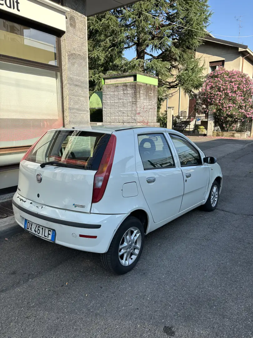 Fiat Punto 5p 1.2 natural power Classic Active - 2