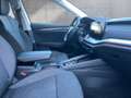 Skoda Octavia Style TDI DSG Weiß - thumbnail 14