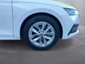 Skoda Octavia Style TDI DSG Weiß - thumbnail 9