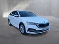 Skoda Octavia Style TDI DSG Weiß - thumbnail 7