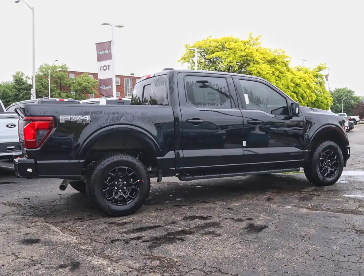 Ford F 150 fotografie Ford F 150