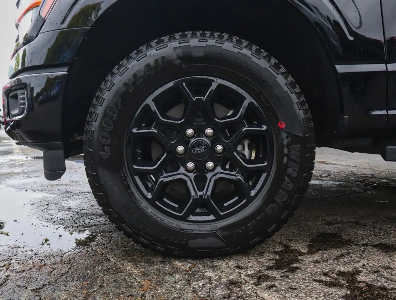 Ford F 150 fotografie Ford F 150