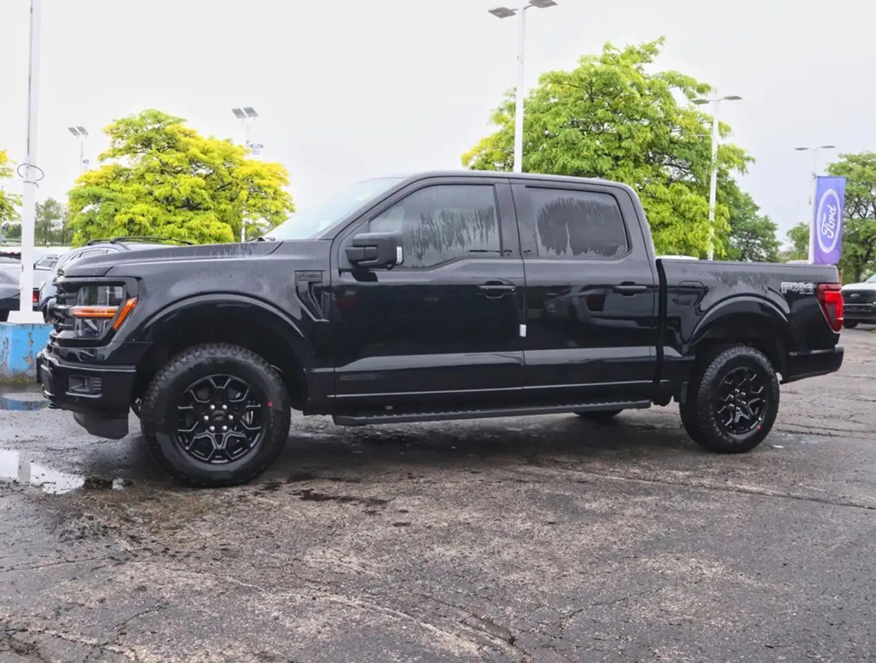 Ford F 150 fotografie Ford F 150