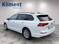 Volkswagen Golf Variant 2,0 TDI Life Weiß - thumbnail 3