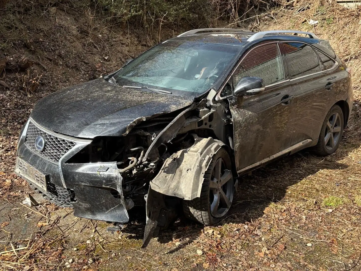 Lexus RX 450h Schwarz - 1