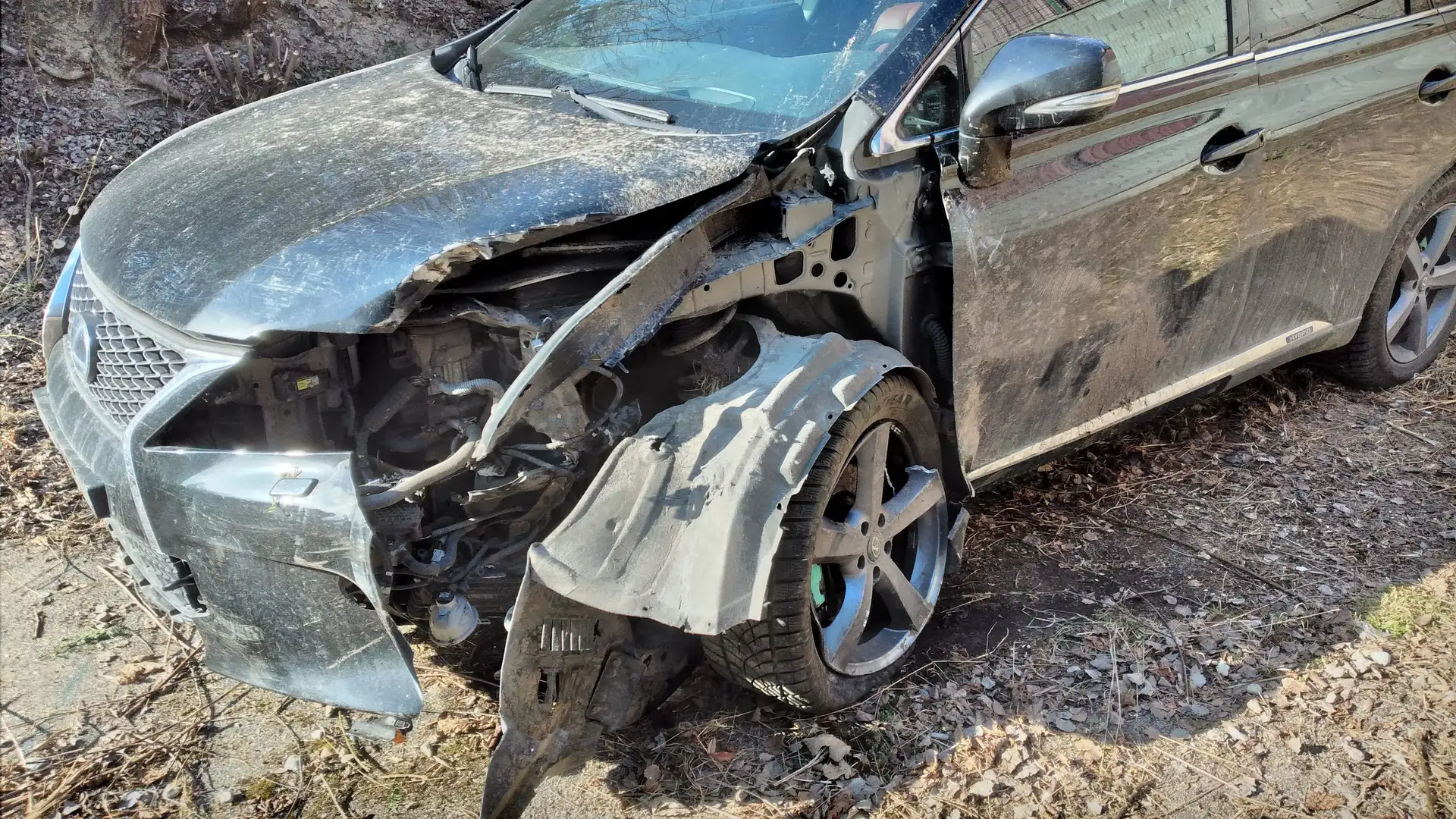 Lexus RX 450h Schwarz - 2