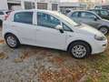 Fiat Punto Lounge 1.2 8V 5T Klimaauto-Alu-NSW-Bluetooth-M+S Weiß - thumbnail 5