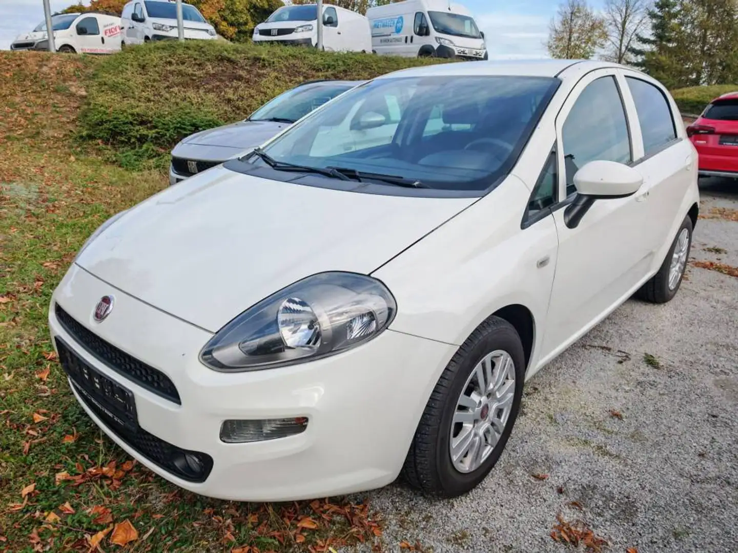 Fiat Punto Lounge 1.2 8V 5T Klimaauto-Alu-NSW-Bluetooth-M+S Weiß - 1