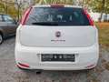 Fiat Punto Lounge 1.2 8V 5T Klimaauto-Alu-NSW-Bluetooth-M+S Weiß - thumbnail 3
