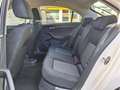 SEAT Toledo Reference 4You*Steuerkette NEU*Anhängerkupplung*Klima*Isofix*Service NEU*TÜV 09.2027* Weiß - thumbnail 11