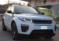 Land Rover Range Rover Evoque Range Rover Evoque  SE Business  Premium Bianco - thumbnail 3