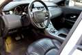 Land Rover Range Rover Evoque Range Rover Evoque  SE Business  Premium Bianco - thumbnail 15
