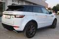 Land Rover Range Rover Evoque Range Rover Evoque  SE Business  Premium Bianco - thumbnail 9