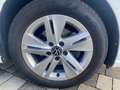 Volkswagen Golf 1.5 TGI DSG Life Bianco - thumbnail 15