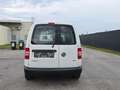 Volkswagen Caddy Entry1,6TDI*Klima*Servicegepflegt*4800 Netto Wit - thumbnail 4