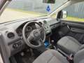 Volkswagen Caddy Entry1,6TDI*Klima*Servicegepflegt*4800 Netto Wit - thumbnail 11