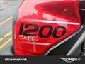 Triumph Tiger 1200 XRT Abs Gris - thumbnail 15