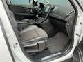 Renault Scenic 1.3 TCe Bose camera / leer / parkeerhulp Wit - thumbnail 26