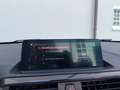 BMW 230 i Cabrio M Sport*KAME*HARMAN&KARDON*NAVI PRO Gris - thumbnail 8