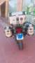 Triumph Tiger 1200 alpine Blanco - thumbnail 5