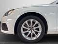 Audi A4 35 TFSI Led,Navi,Sportsitze,AHK Blanc - thumbnail 9