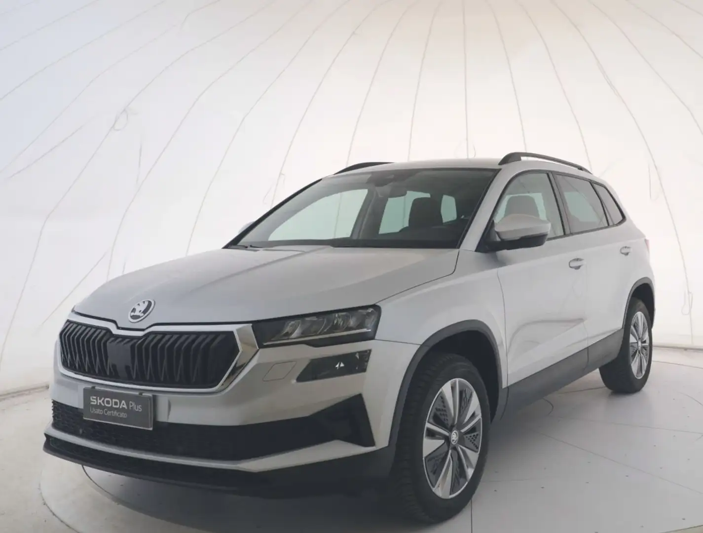 Skoda Karoq 2.0 TDI EVO SCR 115 CV Executive Argento - 1