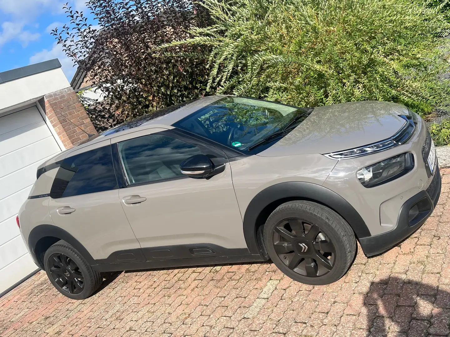 Citroen C4 Cactus C4 Cactus BlueHDi 100 Shine Braun - 1