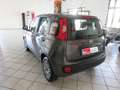 Fiat Panda Panda III 2016 1.2 Easy Gpl 69cv  * Grau - thumbnail 6
