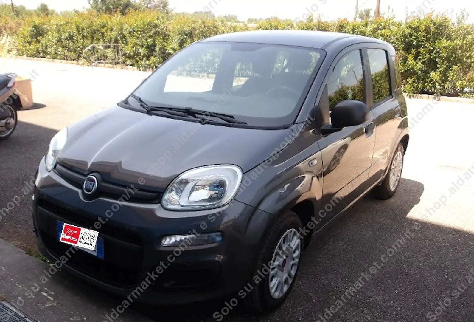 Fiat Panda Panda III 2016 1.2 Easy easypower Gpl 69cv Grigio - 1