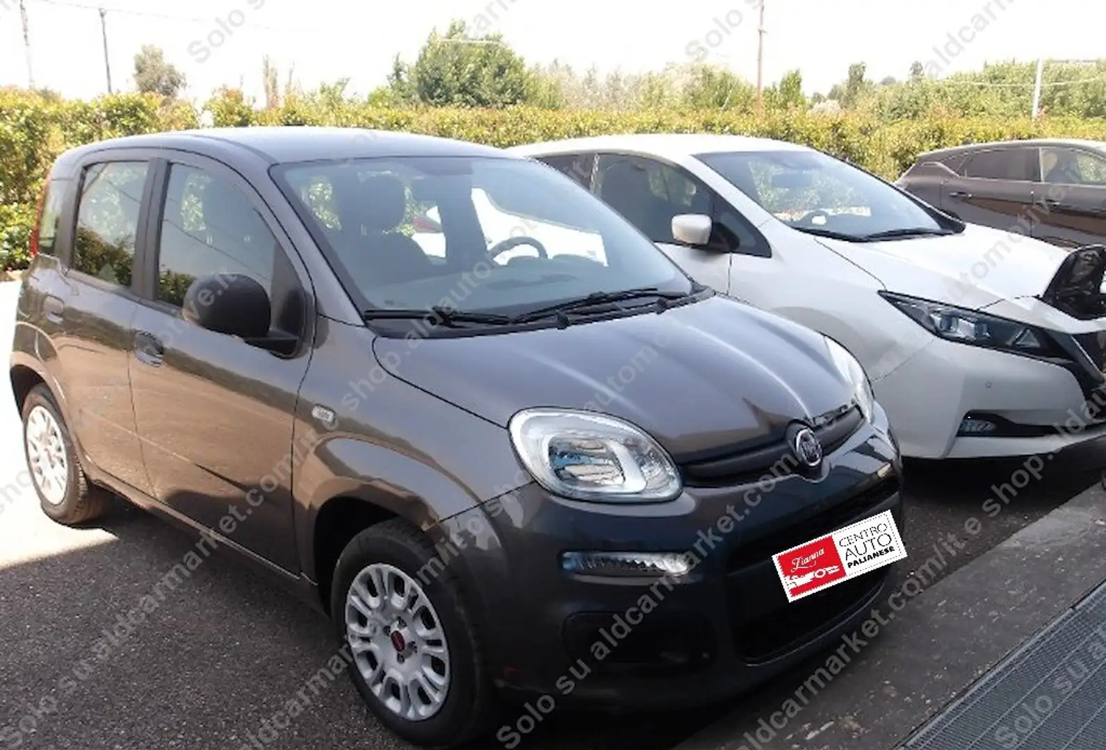 Fiat Panda Panda III 2016 1.2 Easy easypower Gpl 69cv Grigio - 2