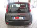Fiat Panda Panda III 2016 1.2 Easy Gpl 69cv  * Grau - thumbnail 5