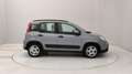 Fiat Panda 1.0 firefly hybrid City Life s&s 70cv 5p.ti Gris - thumbnail 6