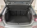 BMW 118 i Advantage ACC/HUD/MMRY/PARKASSIST/H&K/PANO Grau - thumbnail 15