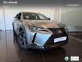 Lexus UX 250h Business 2WD Silber - thumbnail 12