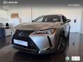 Lexus UX 250h Business 2WD Silber - thumbnail 1