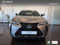 Lexus UX 250h Business 2WD Silber - thumbnail 4