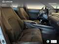 Lexus UX 250h Business 2WD Silber - thumbnail 21